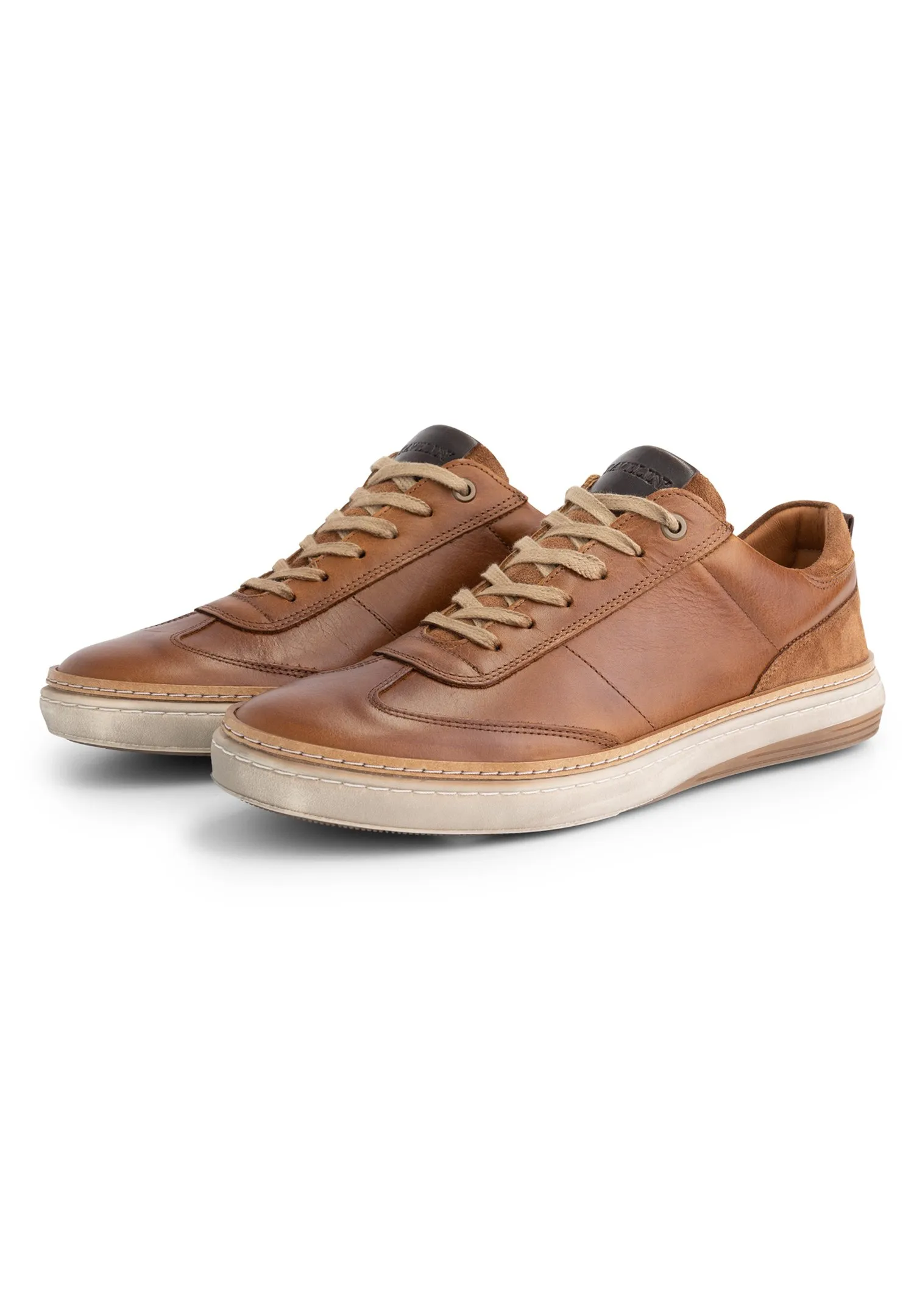 BRANSFORD - Sneakers basse