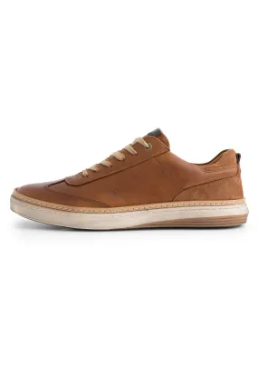 BRANSFORD - Sneakers basse