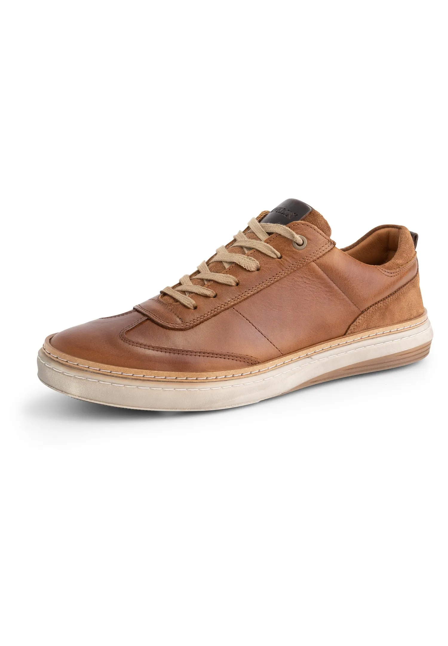 BRANSFORD - Sneakers basse