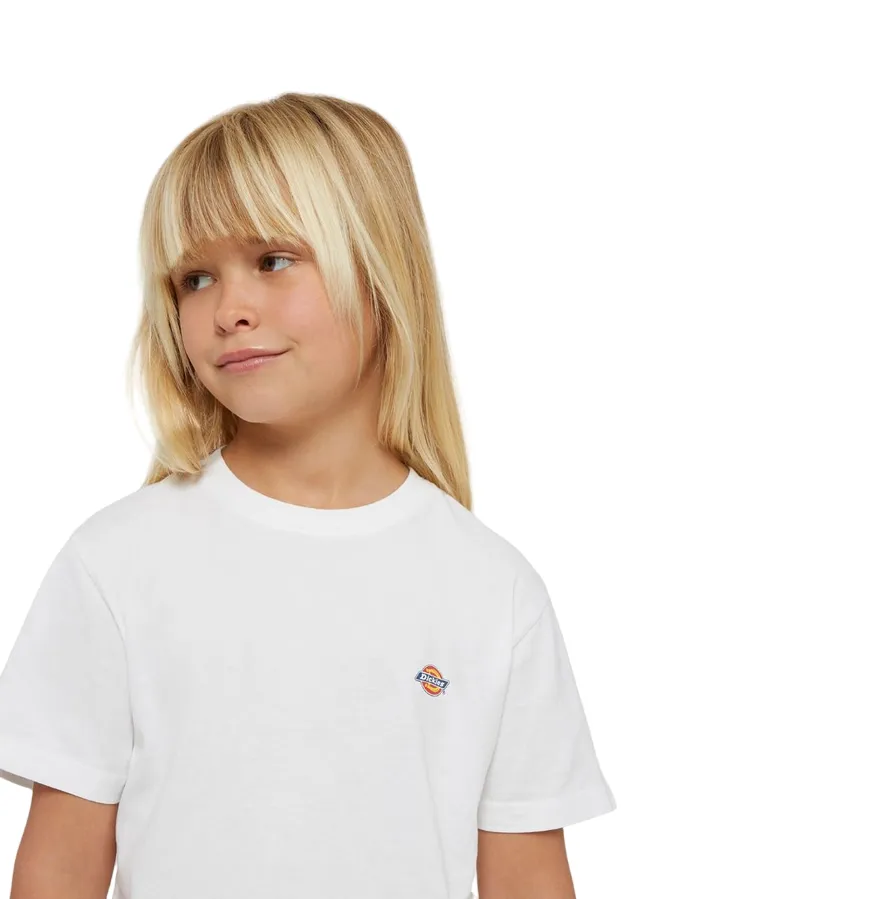 Dickies boys short sleeve t-shirt Mapleton DK0KSR640WH1 white