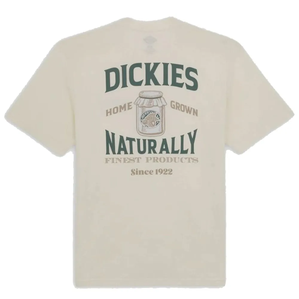 Dickies t shirt uomo Elliston DK0A4YRMC581 Cloud