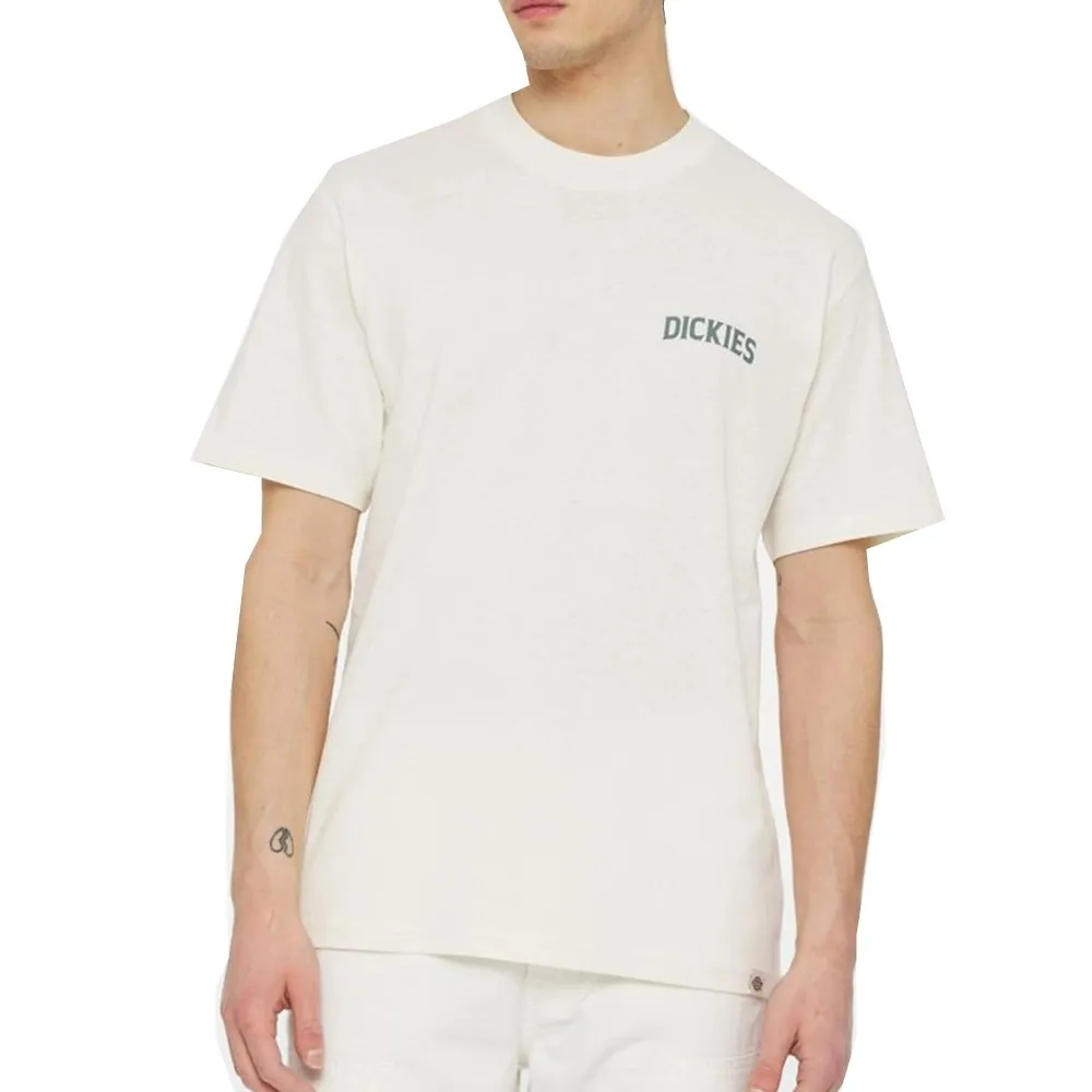 Dickies t shirt uomo Elliston DK0A4YRMC581 Cloud