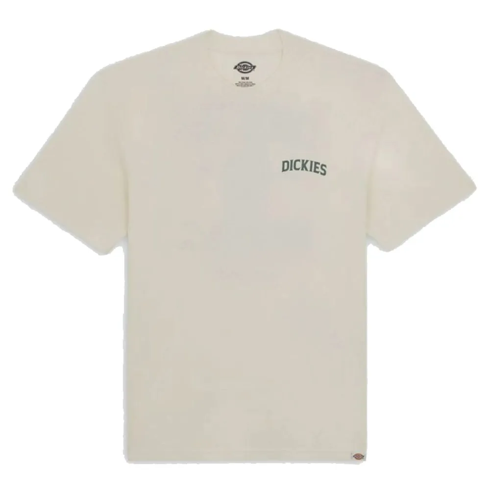 Dickies t shirt uomo Elliston DK0A4YRMC581 Cloud